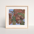 Mini Series No. 5 Acorns