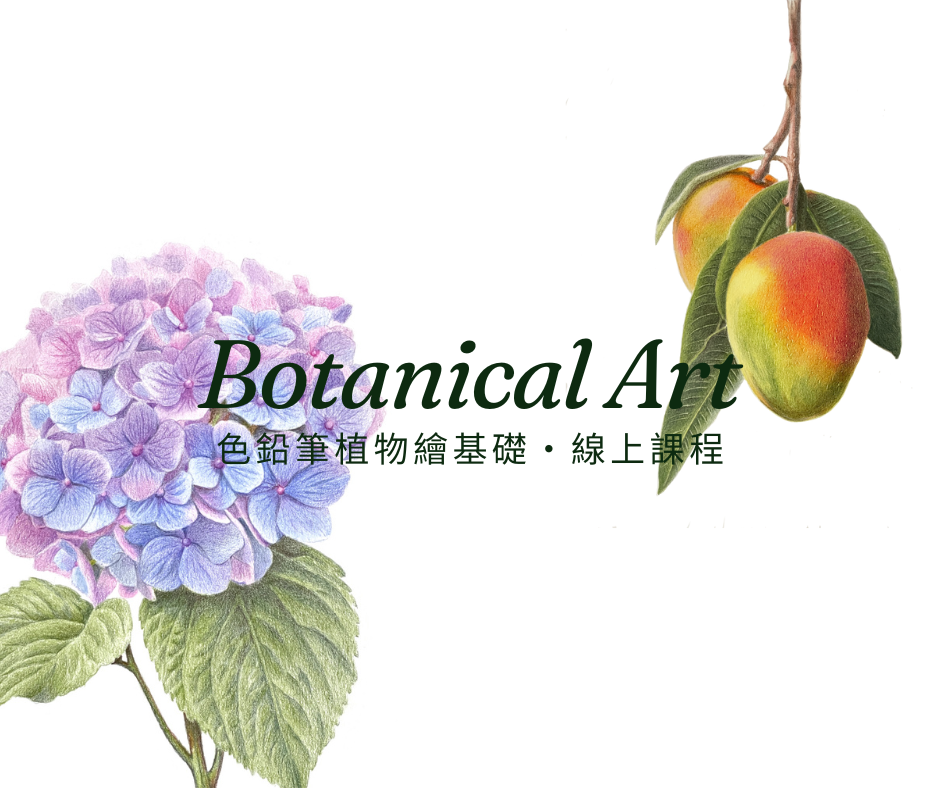 色鉛筆植物繪全集